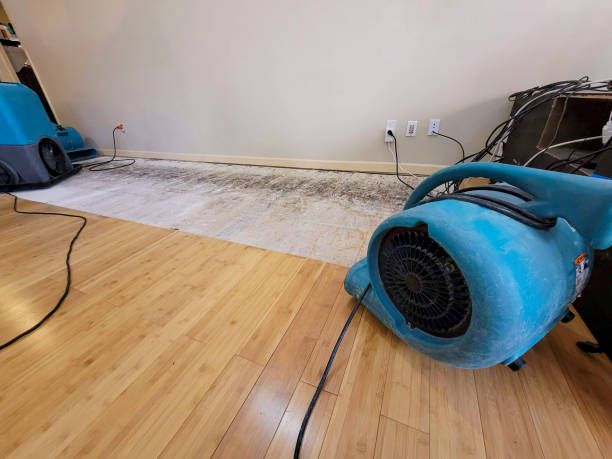 Professional Basement Flood Cleanup technician working in New Lothrop, MI