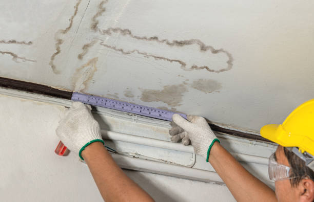 Affordable Basement Flood Cleanup solutions in New Lothrop, MI